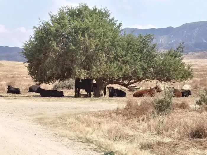 KCL Campground Turnoff Picture 2