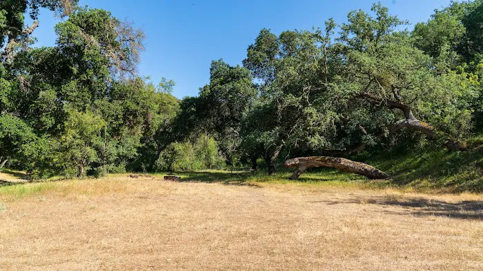 Horseshoe Springs Campground Picture 6