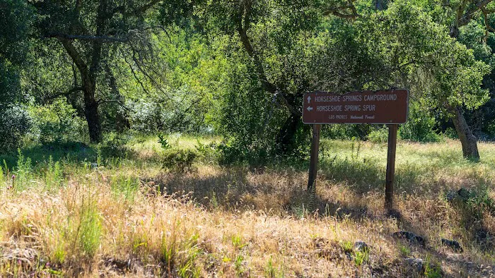 Horseshoe Springs Campground Picture 5