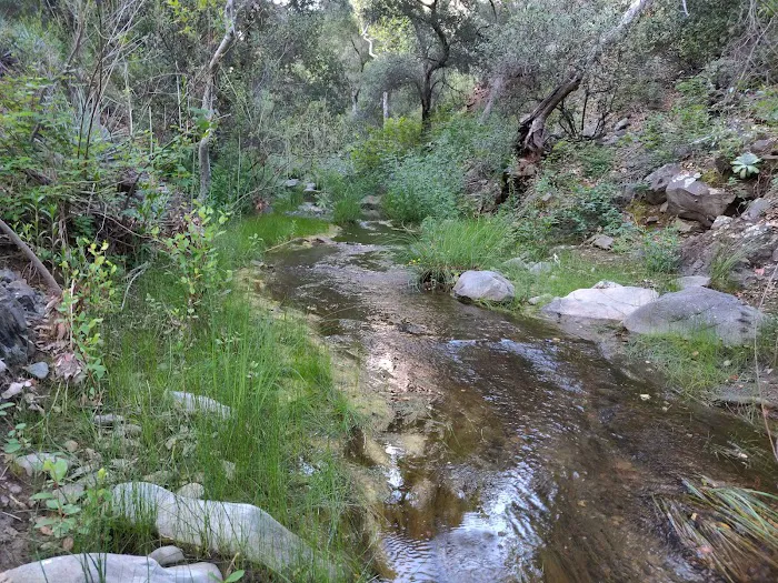 Brookshire Campground Picture 4