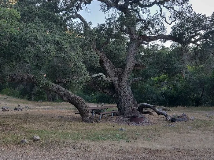 Brookshire Campground Picture 10