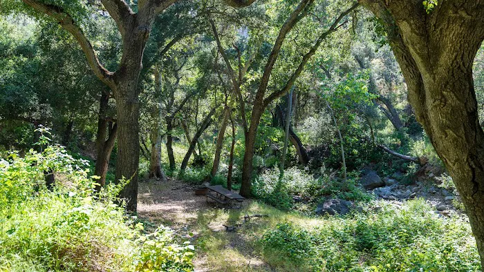 Brookshire Campground Picture 2