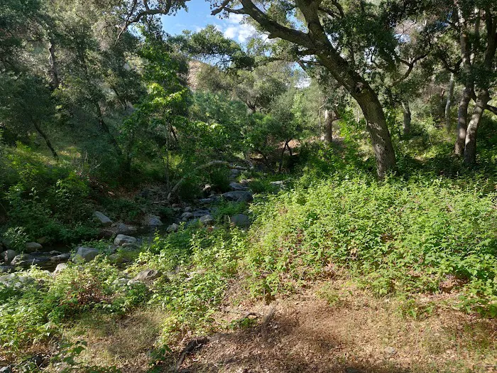 Brookshire Campground Picture 8