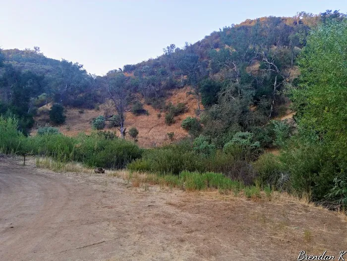 Baja Campground Picture 4