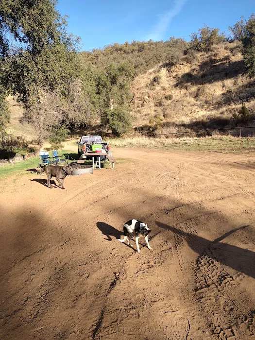 Baja Campground Picture 2