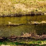 Chautauqua Park Campground