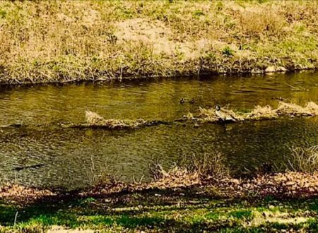Chautauqua Park Campground