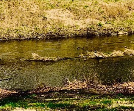 Chautauqua Park Campground