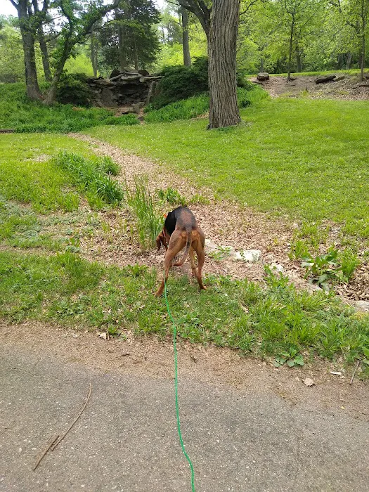 Chautauqua Park Campground Picture 7