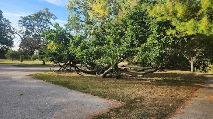 Riverside Park Campground Picture 4