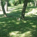 Riverside Park Campground
