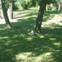 Riverside Park Campground ico