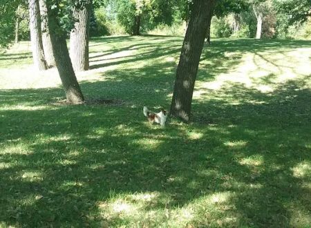 Riverside Park Campground