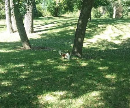 Riverside Park Campground