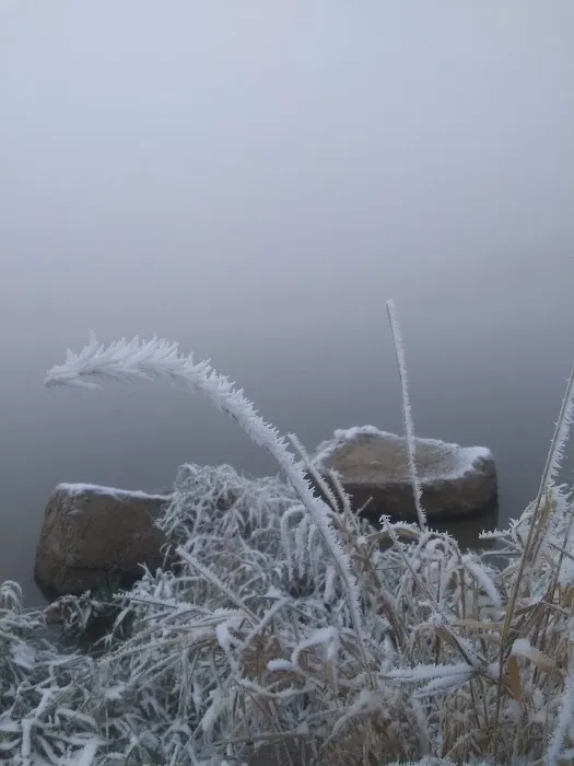 Bear Creek Reservoir Parking Picture 3