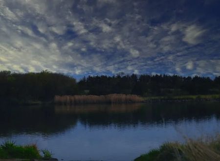 Bear Creek Reservoir Parking