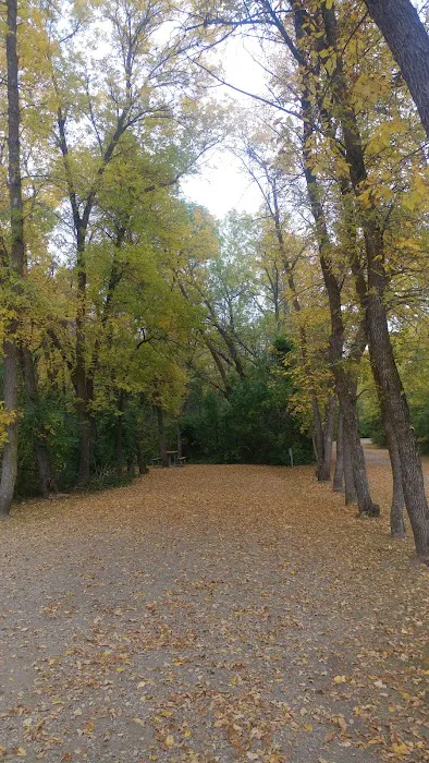 EGGERTS LANDING COE CAMPGROUND Picture 8