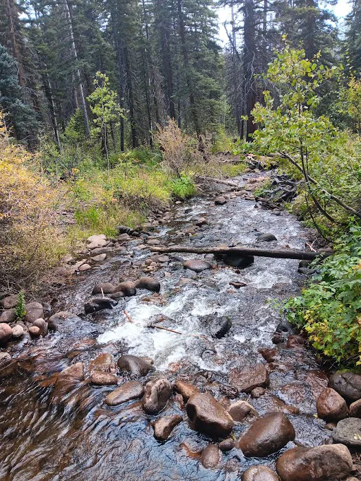 Cathedral Campground Picture 1