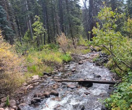 Cathedral Campground