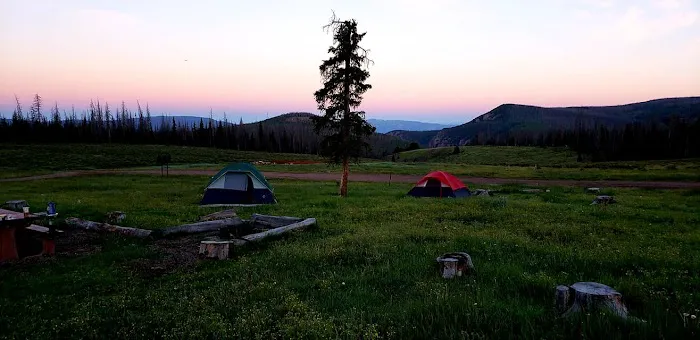 Hanson's Mill Campground Picture 1