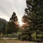 Palisade Campground