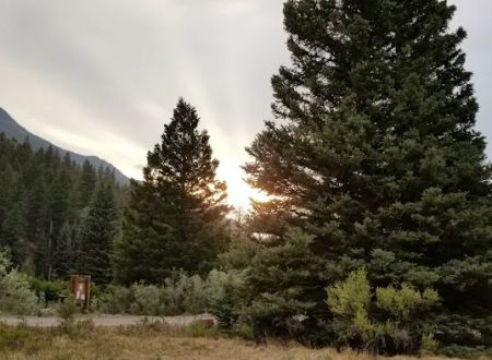 Palisade Campground