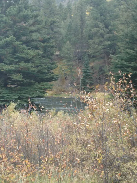 Palisade Campground Picture 2