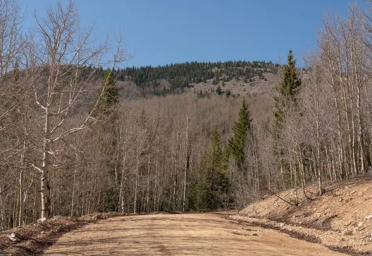 Birchwood Ranch Picture 4