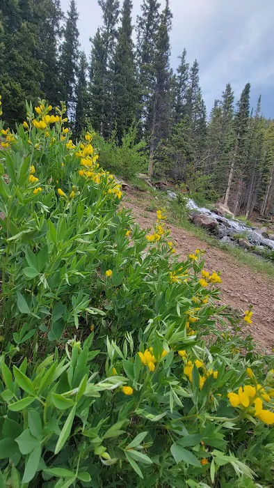 Blue Lakes Campground Picture 6