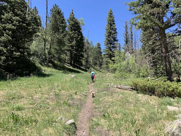 Purgatoire Campground Picture 3