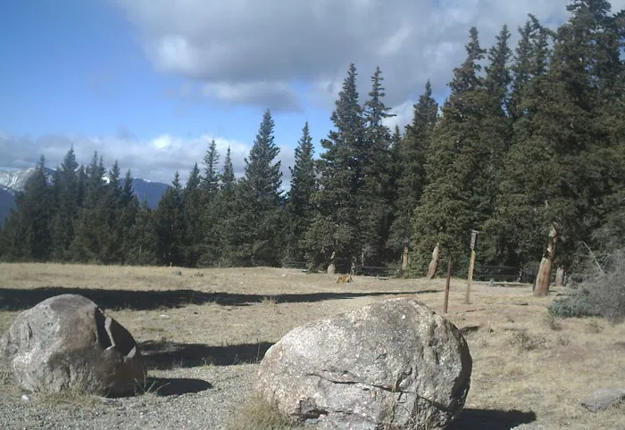 Cordova Pass Camp Ground Picture 7