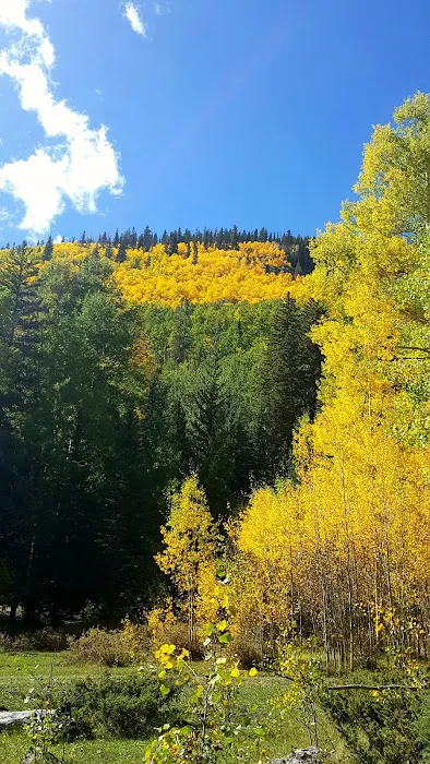 Big Blue Campground Picture 7