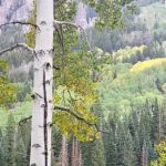 Clear Lake/Rowdy Lake Trailhead (recgovnpsdata)