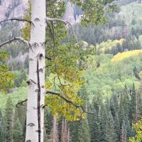 Clear Lake/Rowdy Lake Trailhead (recgovnpsdata) ico