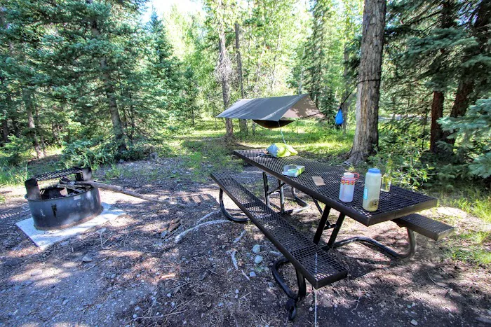 Big Cimarron Campground Picture 1