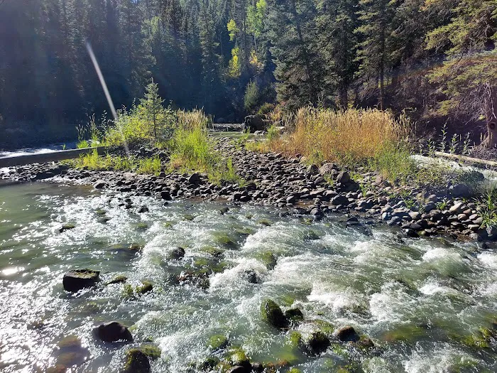 Big Cimarron Campground Picture 10