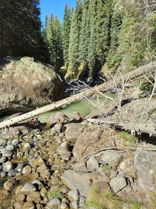 Big Cimarron Campground Picture 9