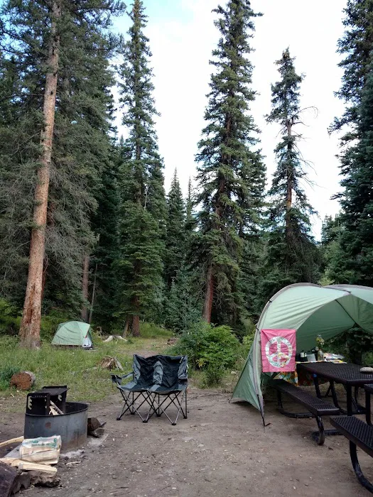 Big Cimarron Campground Picture 7