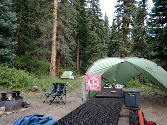 Big Cimarron Campground Picture 5