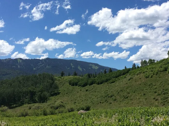 Silver Jack Campground - Ouray RD Picture 9