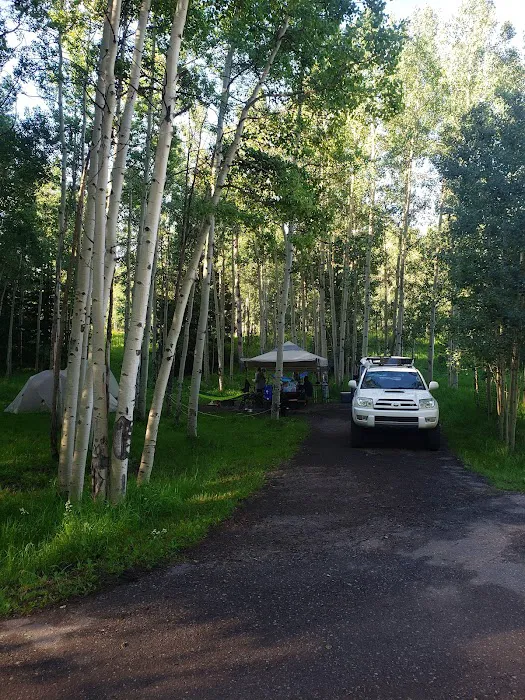 Silver Jack Campground - Ouray RD Picture 10