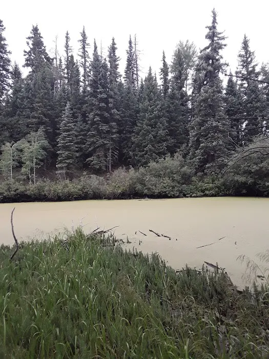 Beaver Lake Day Use Area/ Fishing Site Picture 6