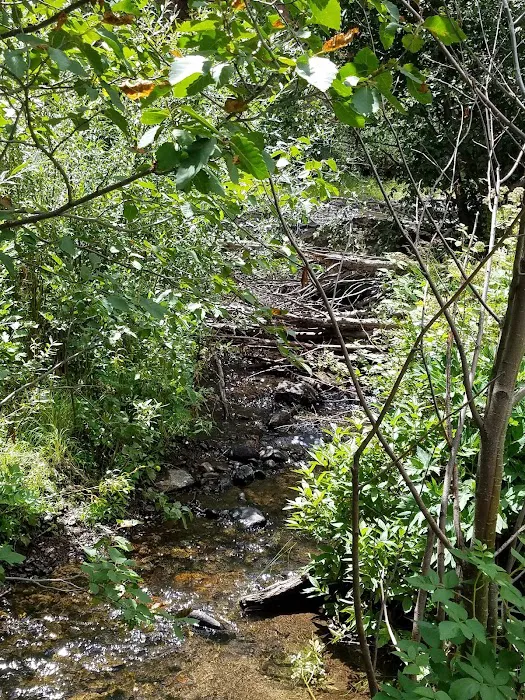 Spruce Campground Picture 5