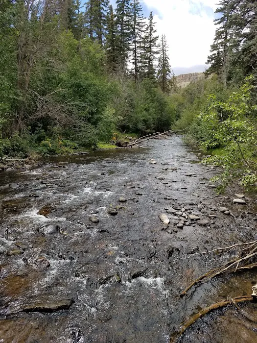 Spruce Campground Picture 3