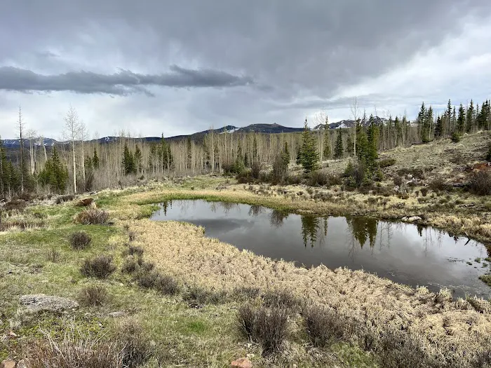 Deer Lakes Campground Picture 9