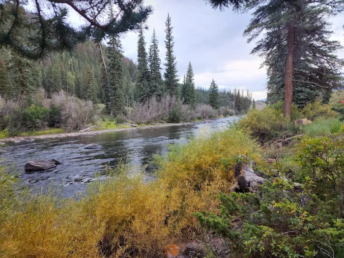 Marshall Park Campground Picture 3