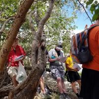 Marshall Park Campground ico