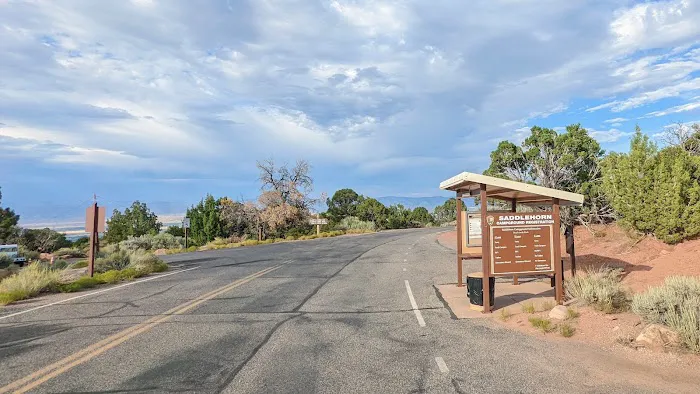 Saddlehorn Campground Picture 9
