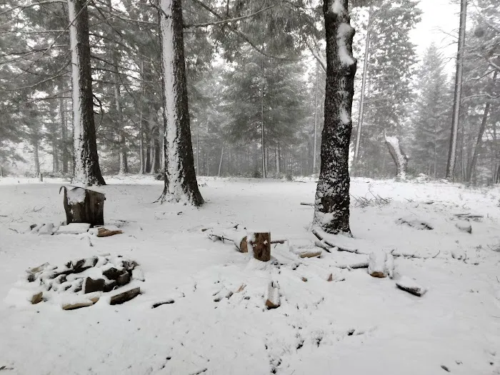Lakeview Campground Picture 5