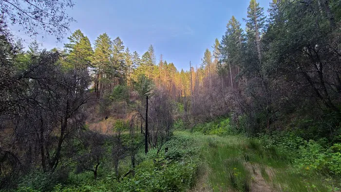 Lakeview Campground Picture 6